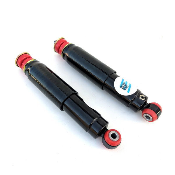 Shock absorber, sport, adjustable, front axle - Flavia (all)